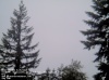 Web Cam Image - Sat, 05/18/2013 11:19pm PDT