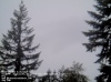 Web Cam Image - Sat, 05/18/2013 11:14pm PDT