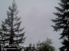 Web Cam Image - Sat, 05/18/2013 11:09pm PDT
