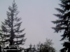 Web Cam Image - Sun, 05/19/2013 2:49am PDT