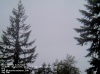 Web Cam Image - Sat, 05/18/2013 10:49pm PDT