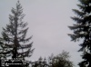 Web Cam Image - Sat, 05/18/2013 10:44pm PDT