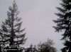 Web Cam Image - Sat, 05/18/2013 10:39pm PDT