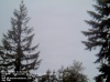 Web Cam Image - Sat, 05/18/2013 10:34pm PDT