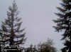 Web Cam Image - Sat, 05/18/2013 10:29pm PDT