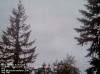 Web Cam Image - Sat, 05/18/2013 10:24pm PDT