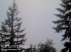 Web Cam Image - Sun, 05/19/2013 2:39am PDT