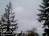 Web Cam Image - Sat, 05/18/2013 8:59pm PDT