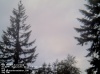Web Cam Image - Sat, 05/18/2013 8:49pm PDT