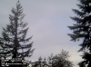 Web Cam Image - Sat, 05/18/2013 8:39pm PDT