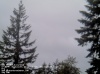 Web Cam Image - Sat, 05/18/2013 8:24pm PDT