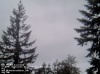 Web Cam Image - Sat, 05/18/2013 8:14pm PDT