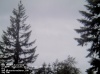 Web Cam Image - Sat, 05/18/2013 8:09pm PDT