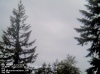 Web Cam Image - Sat, 05/18/2013 7:54pm PDT