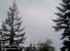 Web Cam Image - Sat, 05/18/2013 7:49pm PDT