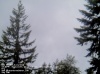 Web Cam Image - Sat, 05/18/2013 7:44pm PDT