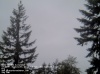 Web Cam Image - Sat, 05/18/2013 7:09pm PDT