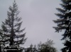 Web Cam Image - Sat, 05/18/2013 7:04pm PDT