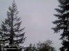 Web Cam Image - Sat, 05/18/2013 6:59pm PDT